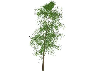 Tree 3D Model preview