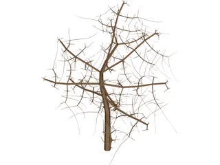 Tree 3D Model preview