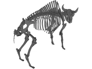 Bull Skeleton 3D Model preview