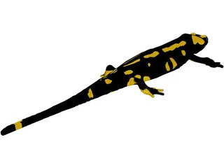 Salamandra 3D Model preview