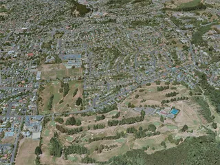 Dunedin City, New Zealand (2021) 3D Model preview