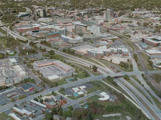 Durham City, USA (2021) 3D Model preview