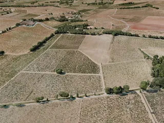Chateauneuf du pape City, France (2021) 3D Model preview