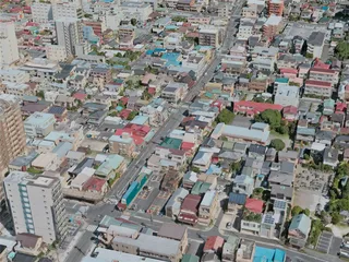 Odawara City, Japan (2021) 3D Model preview