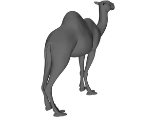 Camel 3D Model preview