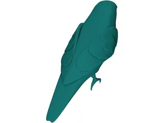 Parakeet 3D Model preview