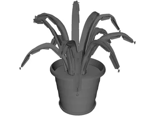 Aloe Plant in a Pot 3D Model preview