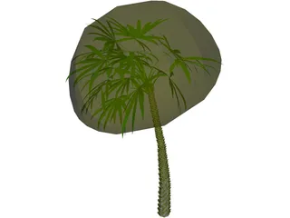 Palm 3D Model preview