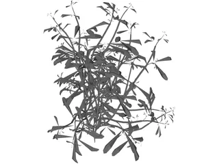 Flower 3D Model preview