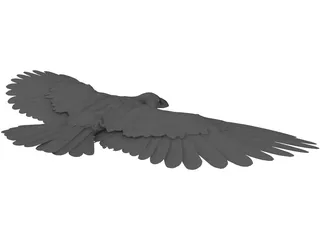 Raven 3D Model preview