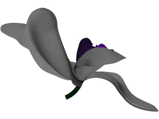 Orchid 3D Model preview