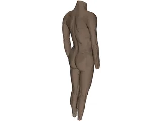 Surface Muscles 3D Model preview