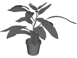 Houseplants 3D Model preview