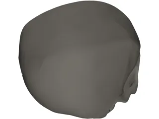 Skull Detailed 3D Model preview
