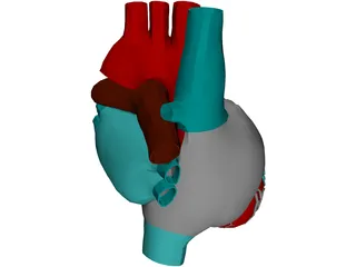 Heart 3D Model preview