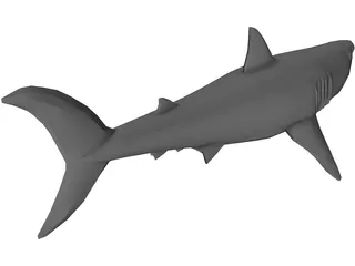 Shark Great White 3D Model preview