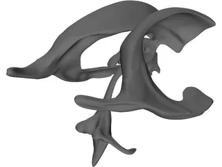 Brain Ventricle 3D Model preview
