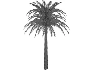 Tree Palm 3D Model preview
