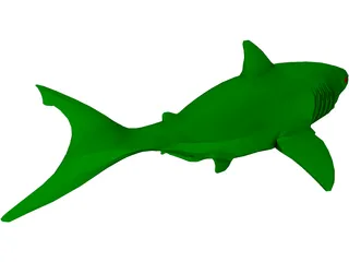 Shark 3D Model preview