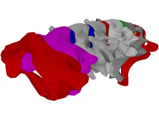 Vertebrae Cervical 3D Model preview