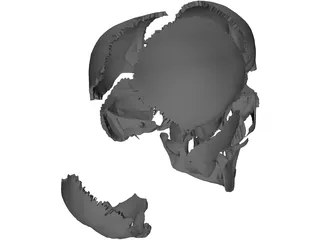 Skull Articulated 3D Model preview