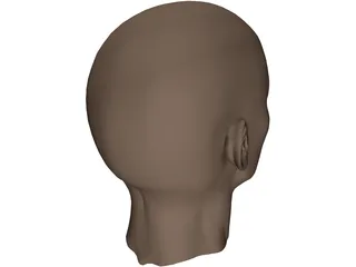 Head Female 3D Model preview