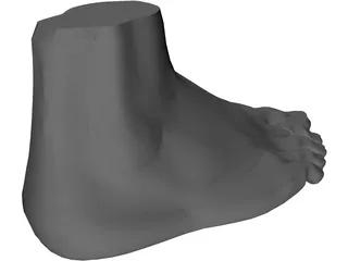 Foot 3D Model preview