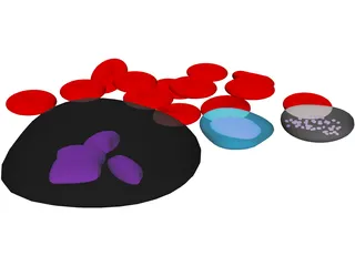 Blood Cells 3D Model preview