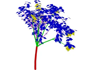 Apricot Tree 3D Model preview