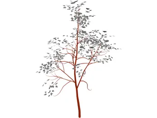 American Mountain Ash 3D Model preview
