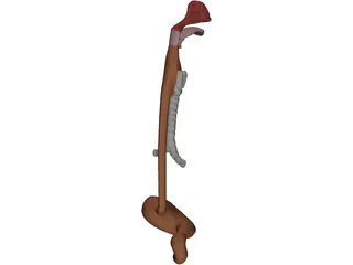 Digestive Tract and Respiratory 3D Model preview