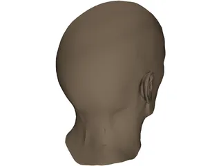 Head Male 3D Model preview