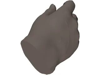 Hand Male 3D Model preview