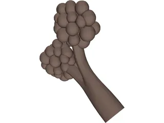 Alveoli 3D Model preview