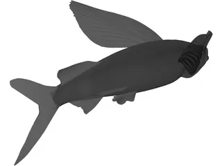 Parexocoetioes 3D Model preview