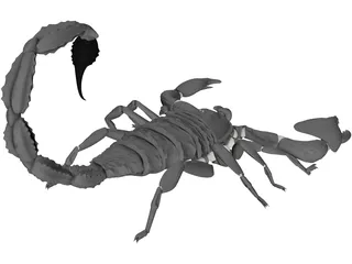Scorpion (Arachnid Scorpionida) 3D Model preview