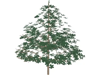 Styrax Officinalis 3D Model preview