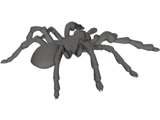 Tarantula 3D Model preview