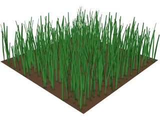 Grass 3D Model preview