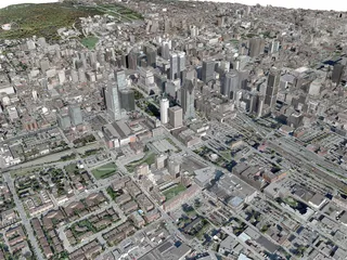 Montreal City 3D Model preview