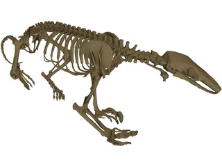Anteater Skeleton 3D Model preview