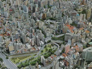 Sao Paulo City, Brazil (2022) 3D Model preview