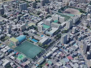 Sapporo City, Japan (2022) 3D Model preview