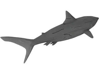 Great White Shark 3D Model preview