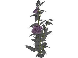 Plant 3D Model preview