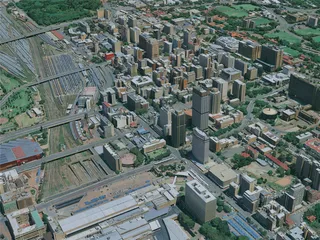 Johannesburg City, South Africa (2024) 3D Model preview