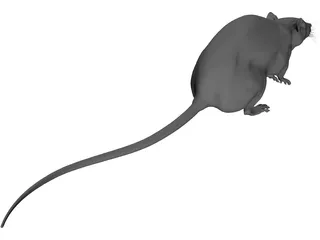 Rat House 3D Model preview