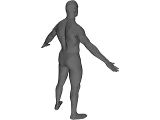 Man Body International 3D Model preview