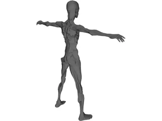 Zombie 3D Model preview