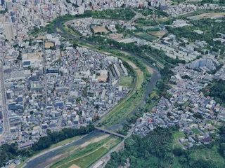 Sendai City, Japan (2025) 3D Model preview
